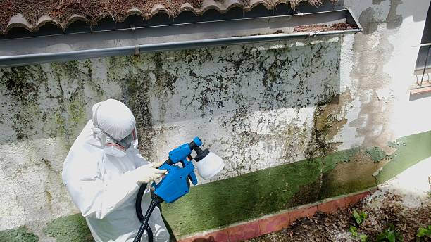Mold Remediation service in Madison, Madison, NC